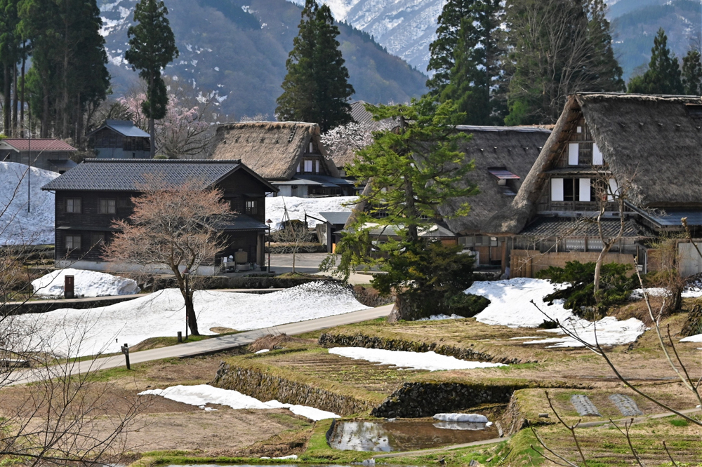 世界遺産五箇山相倉集落の画像です