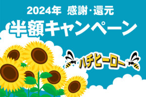 Read more about the article 2024年7月～8月半額キャンペーン実施！富山最安値でお得に蜂の巣駆除！