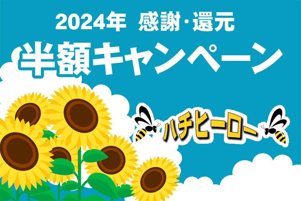 You are currently viewing 2024年7月～8月半額キャンペーン実施！富山最安値でお得に蜂の巣駆除！