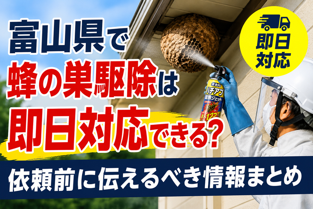 富山県で蜂の巣駆除は即日対応できるかを解説する記事のアイキャッチ画像。軒下の蜂の巣を防護服の作業員が駆除している様子。