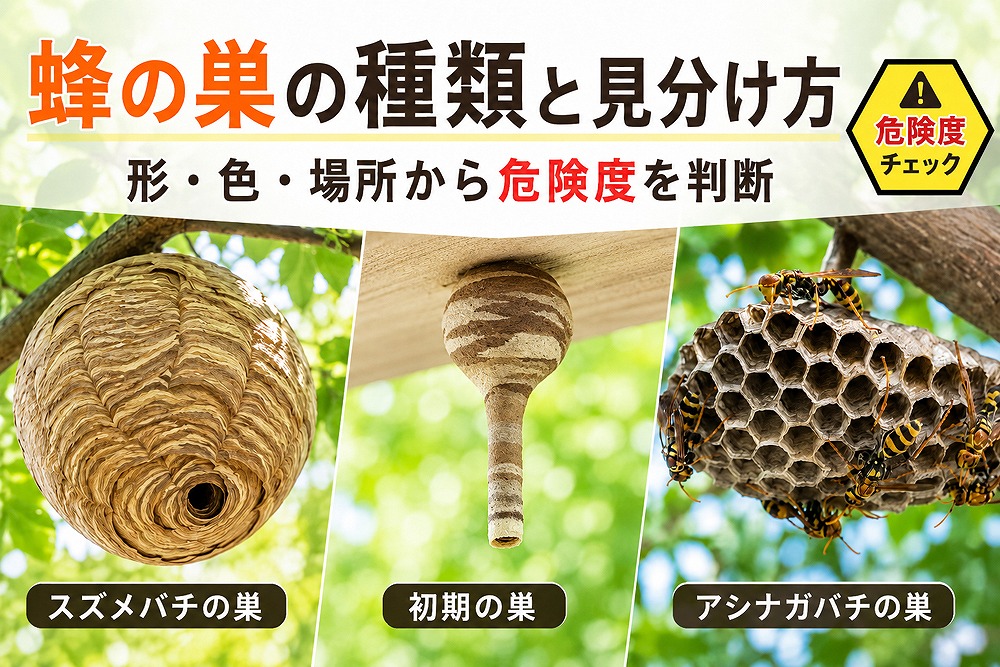 蜂の巣の種類と見分け方。スズメバチの巣、初期のとっくり型の巣、アシナガバチの巣を比較し、形・色・場所から危険度を判断する画像。
