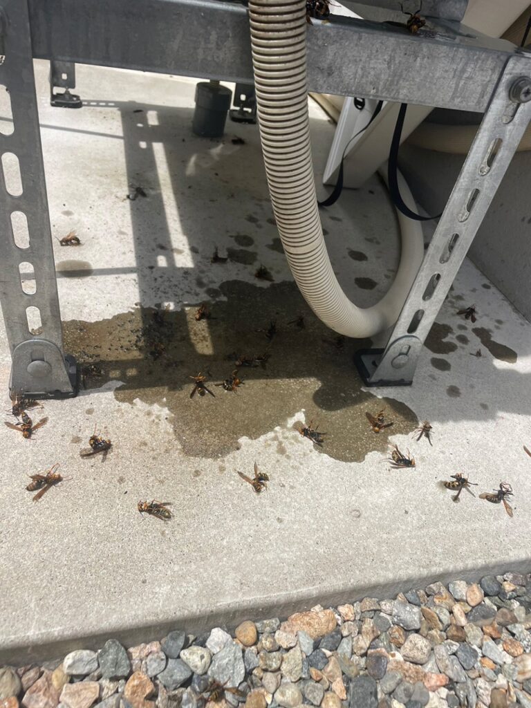 高岡市でアシナガバチを駆除した後のエアコン室外機架台周辺