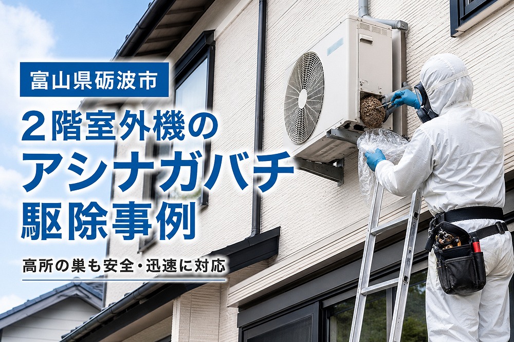 富山県砺波市の2階室外機にできたアシナガバチの巣の駆除事例を紹介するイメージ画像