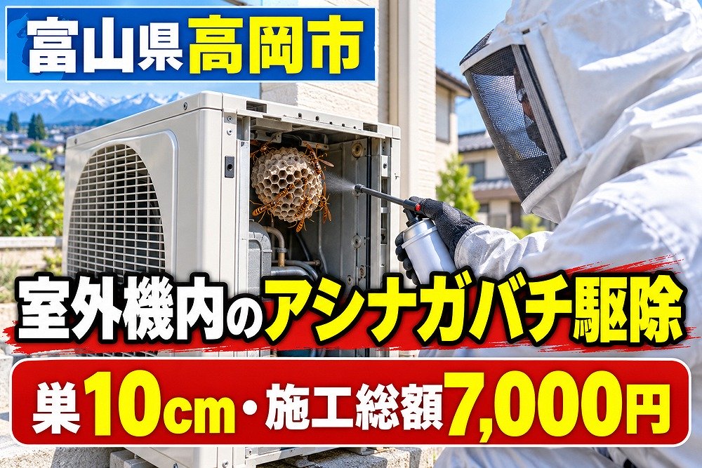 富山県高岡市で室外機内のアシナガバチを駆除した事例。