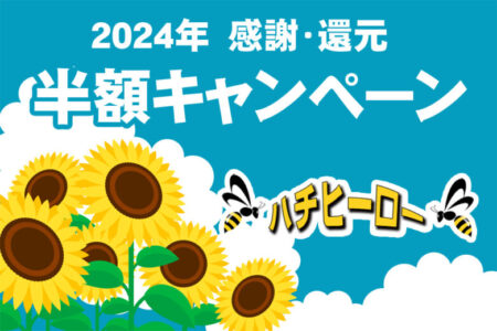 富山のハチ駆除専門店ハチヒーローの2024年夏・半額キャンペーン案内